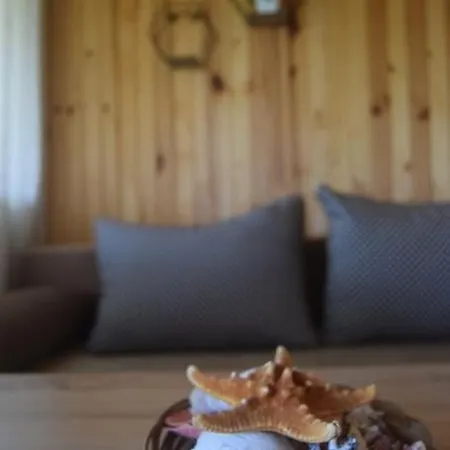 къща виктория 펜션 Banya (Burgas)